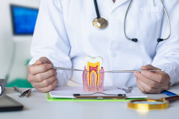 Best Same-Day Emergency Dentist in Bridgman, MI